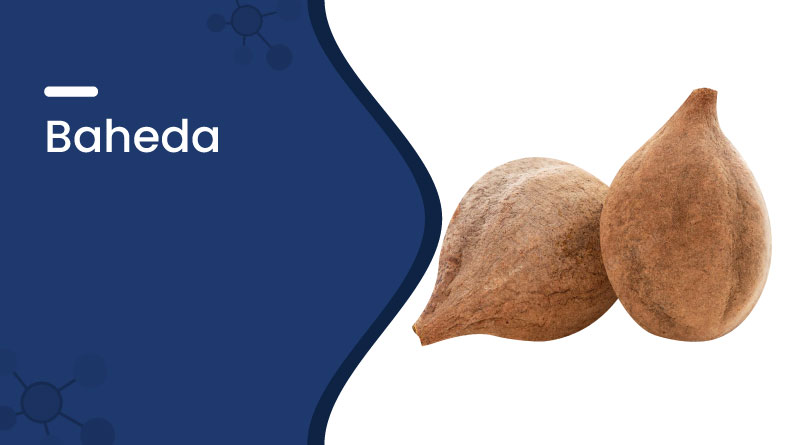 Baheda (Bibhitaki): Benefits, Uses, Dosage & Ayurvedic Value