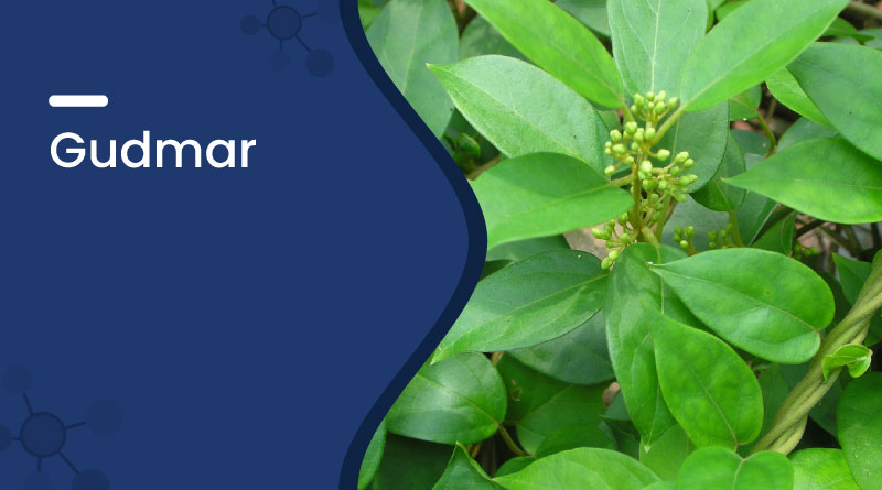 Gudmar Uses, Benefits, Dosage & Side Effects
