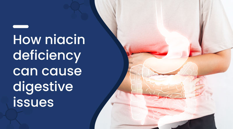 How Niacin Deficiency Can Cause Digestive Issues