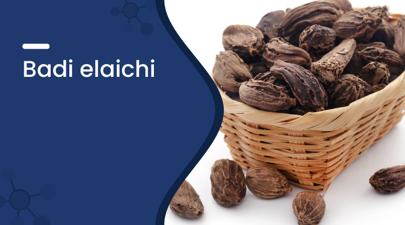 Badi Elaichi Benefits, Uses, Side Effects & Home Remedies