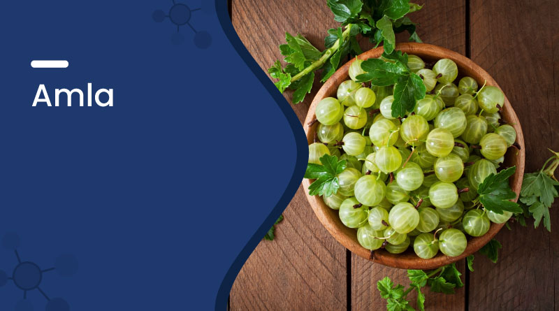 Image of Amla (Indian Gooseberry)