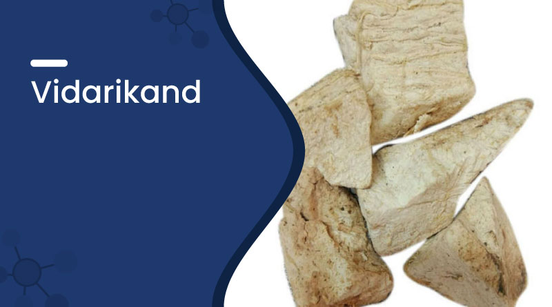 vidarikand &ndash; benefits, uses, dosage & side effects in ayurveda