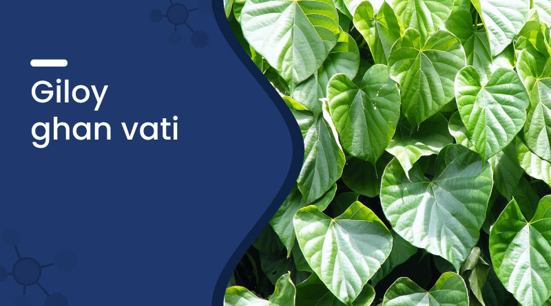 Giloy Ghan Vati &ndash; Uses, Benefits, Dosage & Side Effects