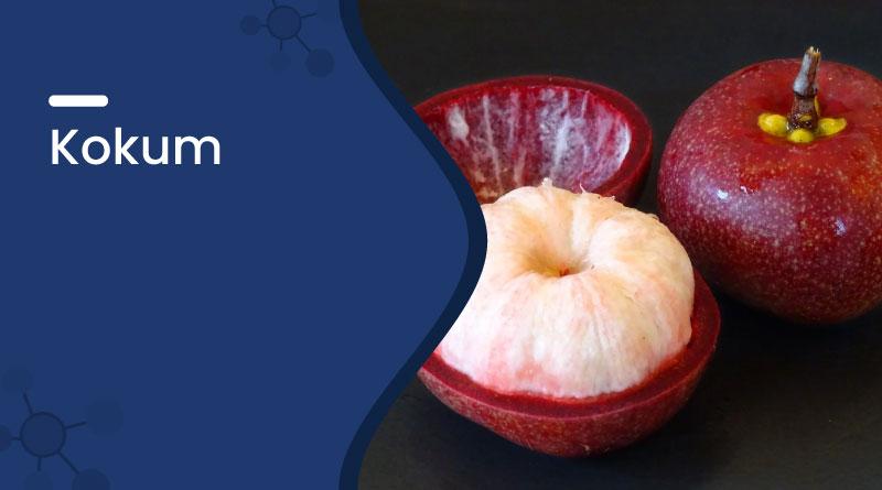 Kokum &ndash; Uses, Benefits, Nutrition & Side Effects Explained