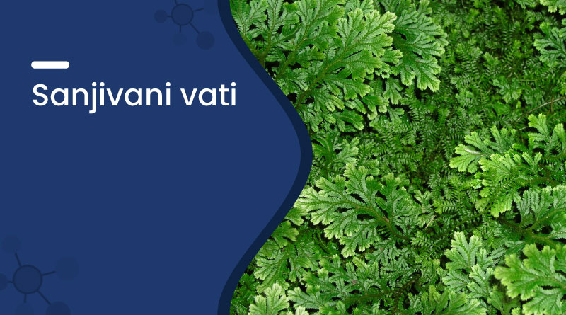 Sanjivani Vati &ndash; Uses, Benefits, Dosage & Side Effects