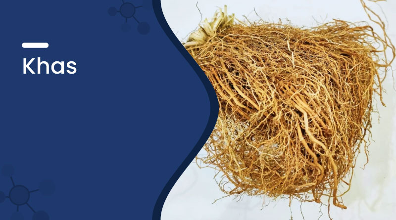 Khas (Vetiver) &ndash; Benefits, Uses, Cooling Effects & Ayurvedic Value