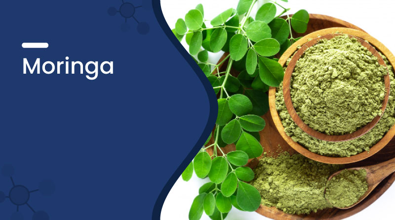Moringa (Drumstick Tree): Benefits, Uses & Side Effects