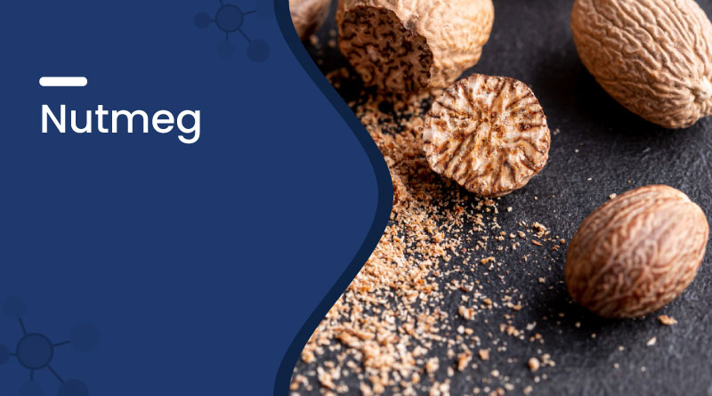 Nutmeg (Jaiphal): Benefits, Uses, Side Effects & Nutrition