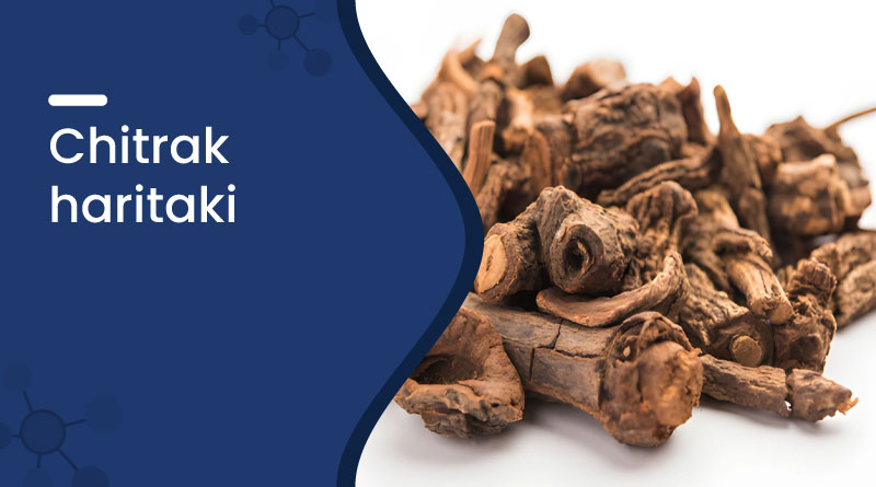 Chitrak Haritaki Benefits, Uses & Dosage