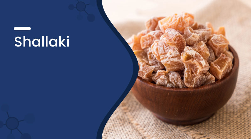 Shallaki (Boswellia) Benefits, Uses & Side Effects