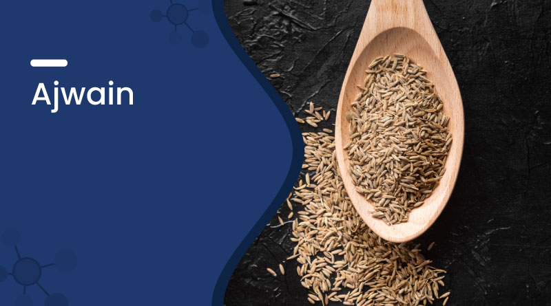 Ajwain Benefits & Uses &ndash; Improve Digestion Naturally
