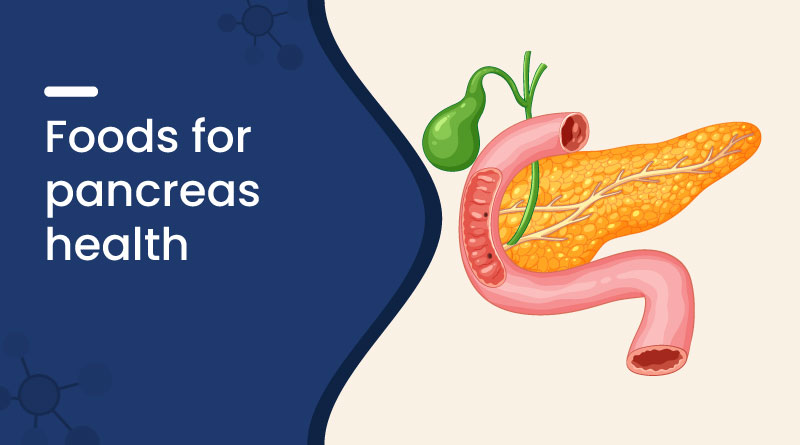 Best Foods for Pancreas Health | Support Digestive & Insulin Function