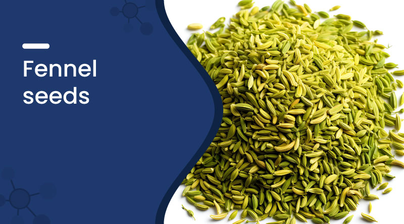 Fennel Seeds Benefits & Uses | Healthy Digestive Spice