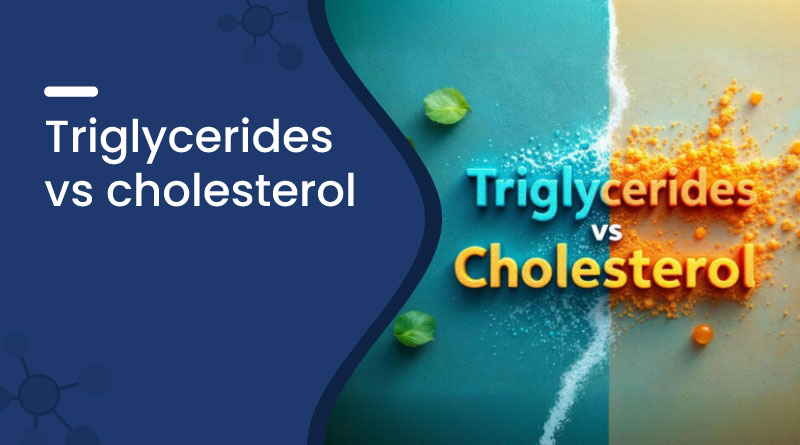Triglycerides vs Cholesterol | Differences & Heart Health
