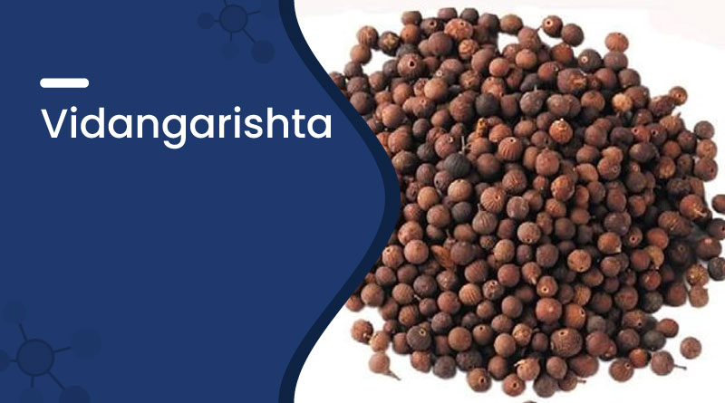 Vidangarishta Benefits & Uses | Ayurvedic Digestive Tonic