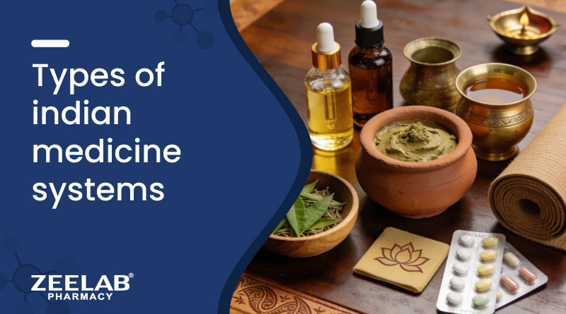 Image  of Types of Indian Medicine Systems