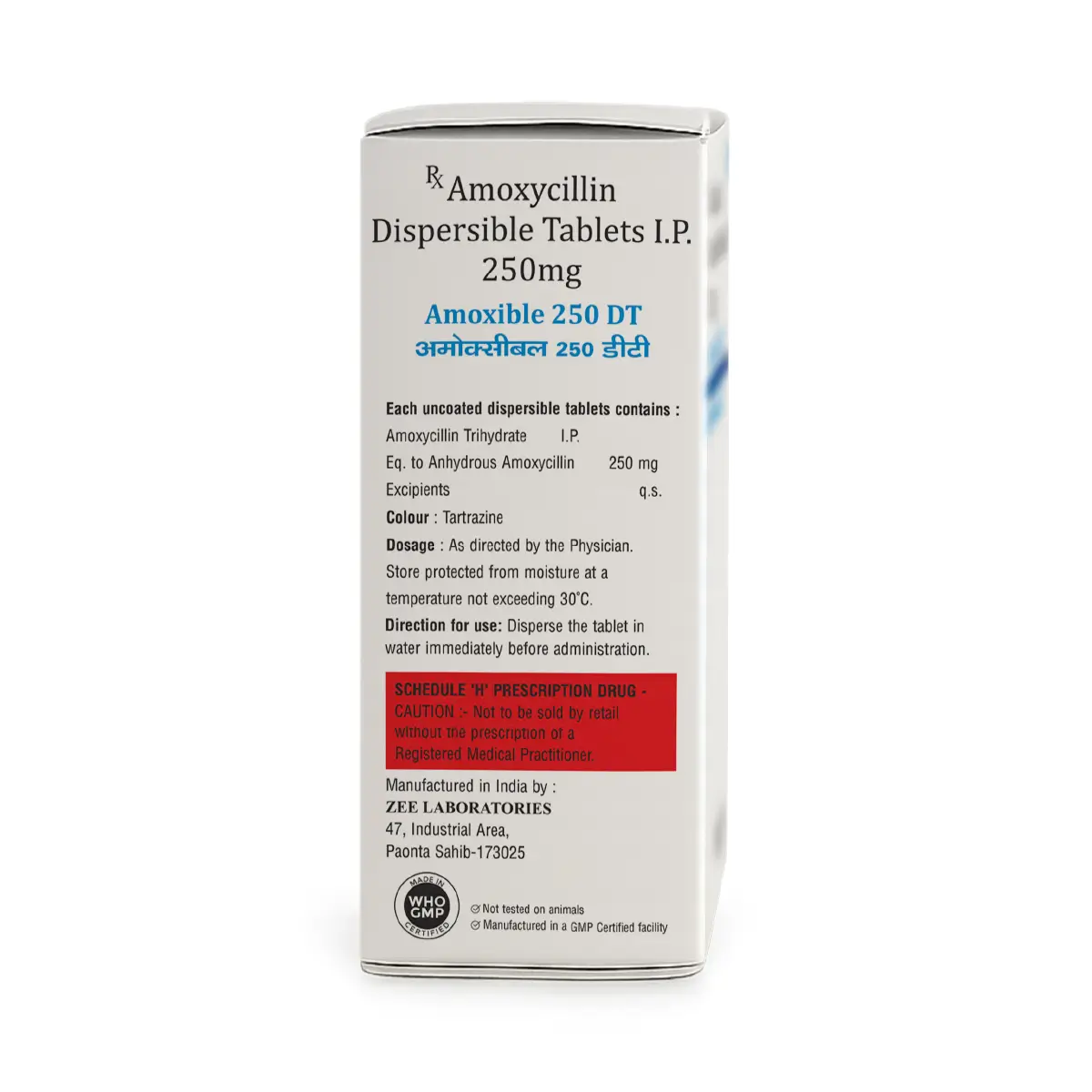 Amoxible 250 DT Antibiotic Tablet